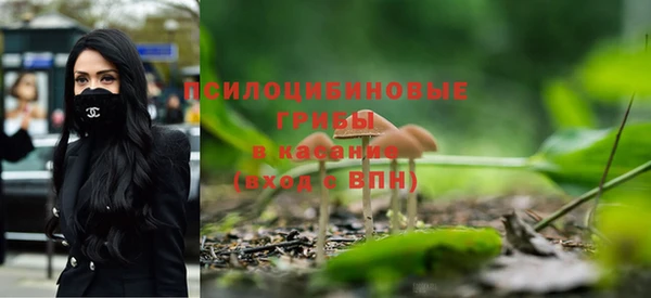 мяу мяу мука Беломорск