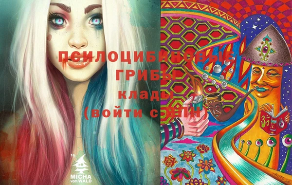 амфетамин Белокуриха