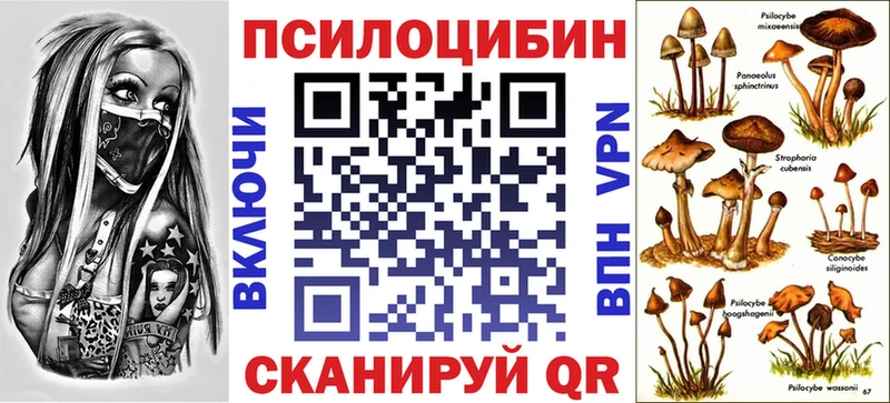 Псилоцибиновые грибы ЛСД  Волосово 